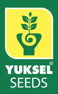 Yuksel-Seeds-Logo-2